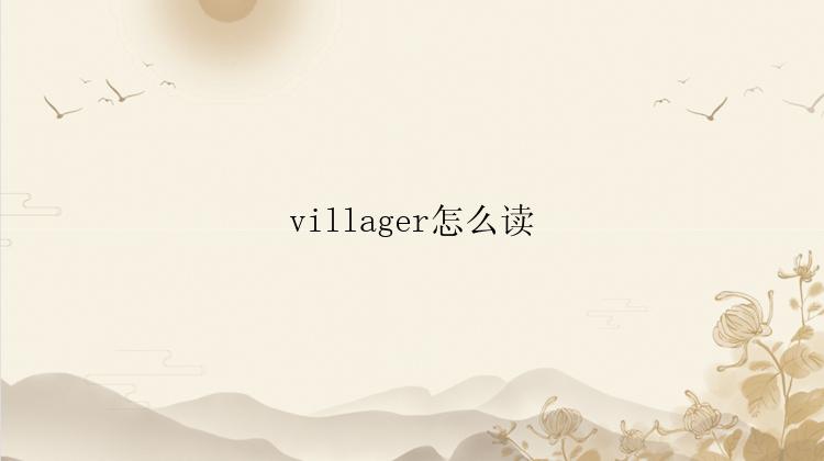 villager怎么读