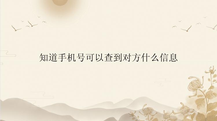 知道手机号可以查到对方什么信息