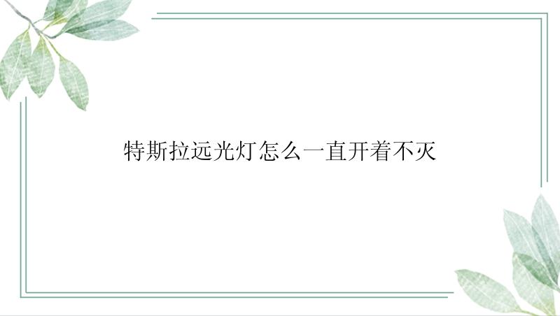 特斯拉远光灯怎么一直开着不灭