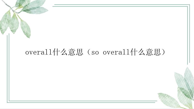 overall什么意思（so overall什么意思）