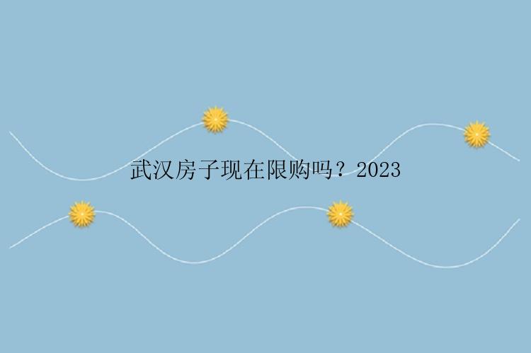 武汉房子现在限购吗？2023