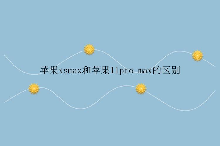 苹果xsmax和苹果11pro max的区别