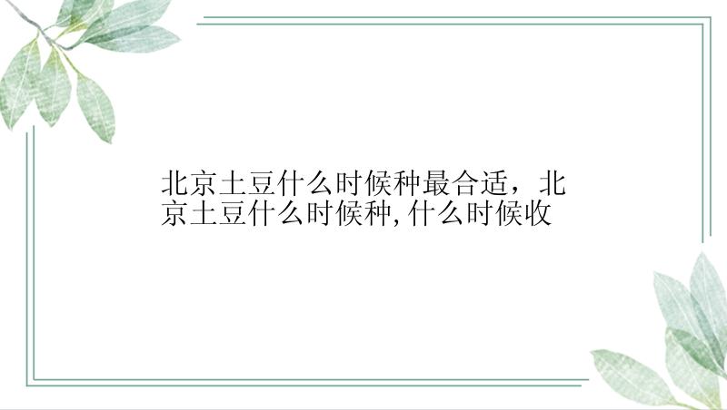 北京土豆什么时候种最合适，北京土豆什么时候种,什么时候收