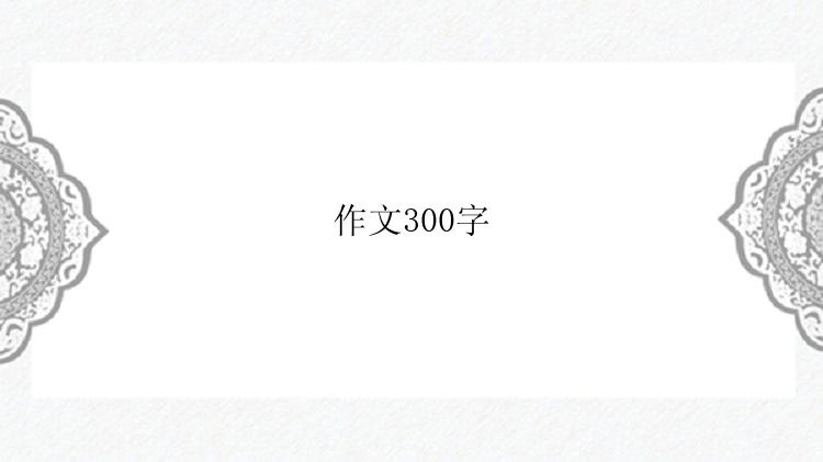 作文300字