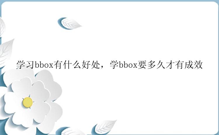 学习bbox有什么好处，学bbox要多久才有成效