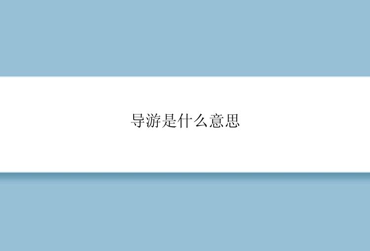 导游是什么意思