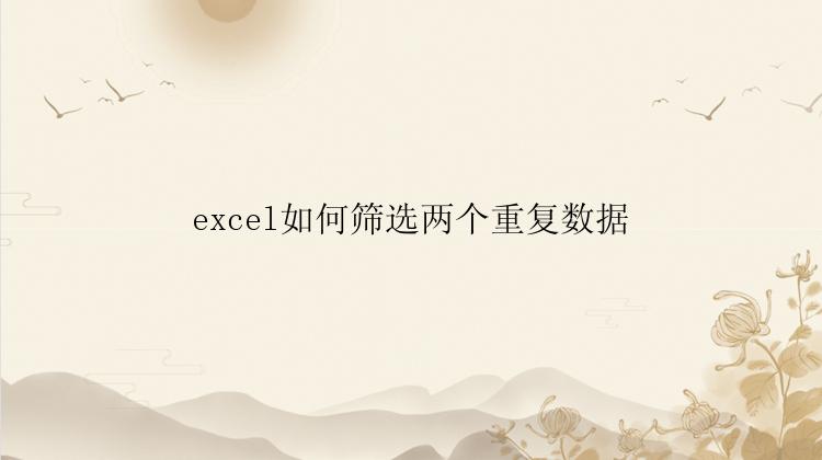 excel如何筛选两个重复数据