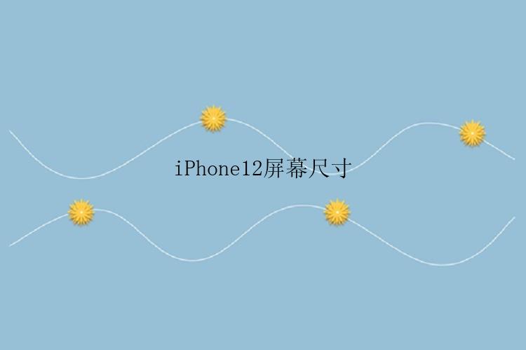 iPhone12屏幕尺寸