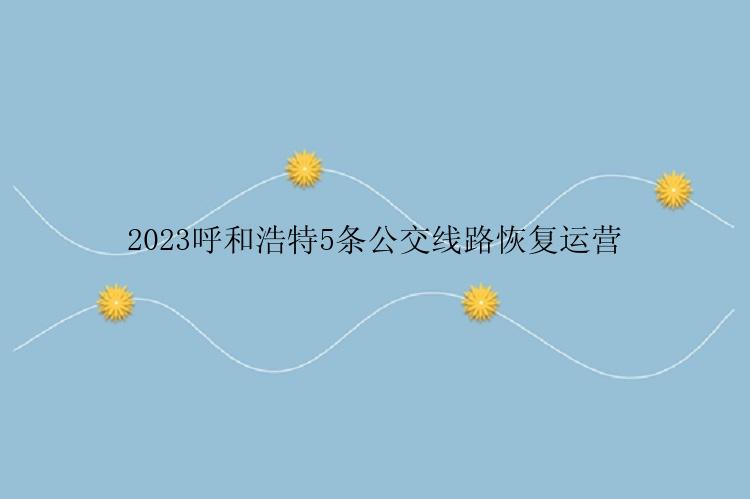 2023呼和浩特5条公交线路恢复运营