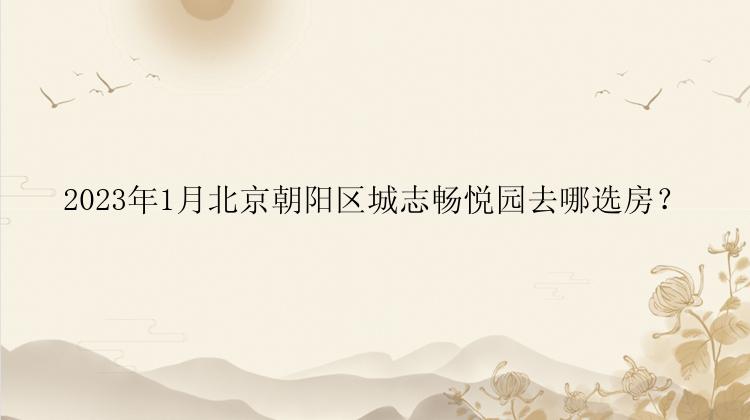 2023年1月北京朝阳区城志畅悦园去哪选房？