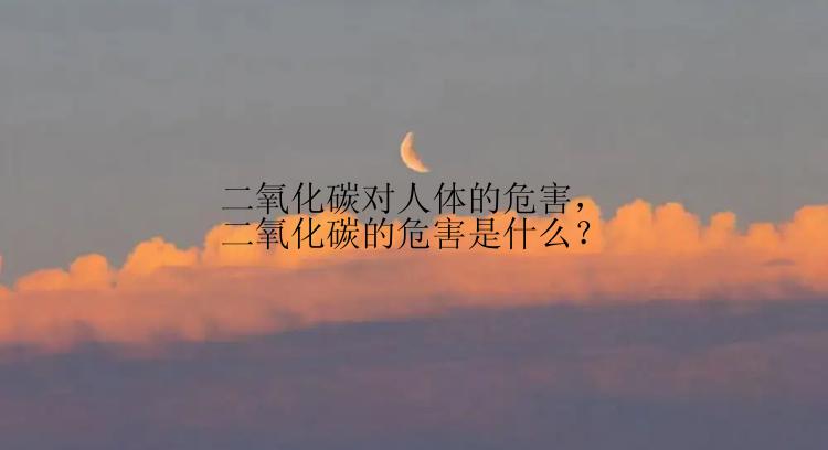 二氧化碳对人体的危害，二氧化碳的危害是什么？