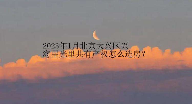 2023年1月北京大兴区兴海星光里共有产权怎么选房？