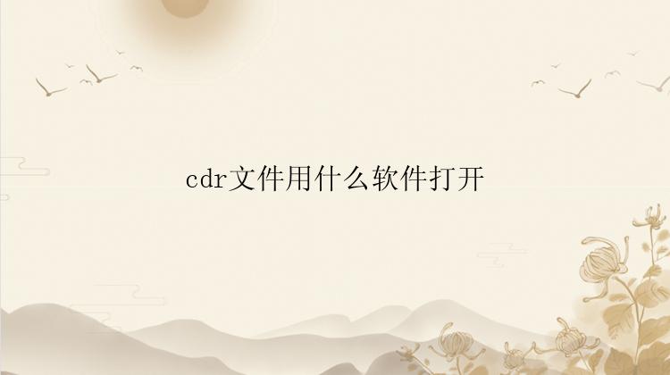 cdr文件用什么软件打开