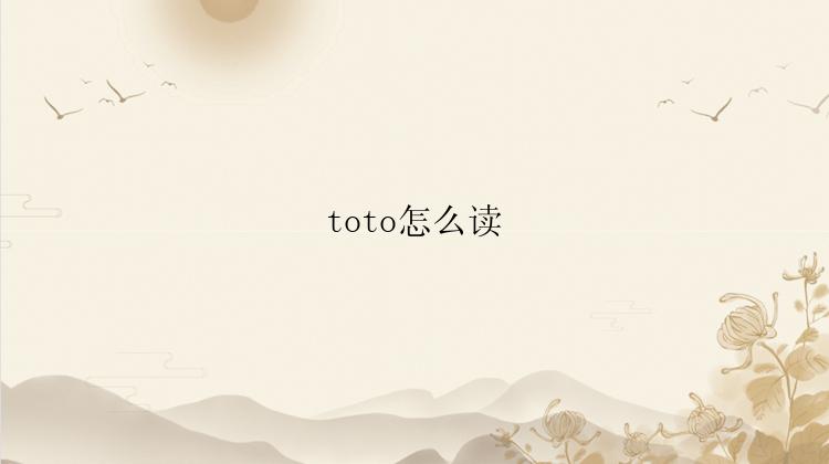 toto怎么读