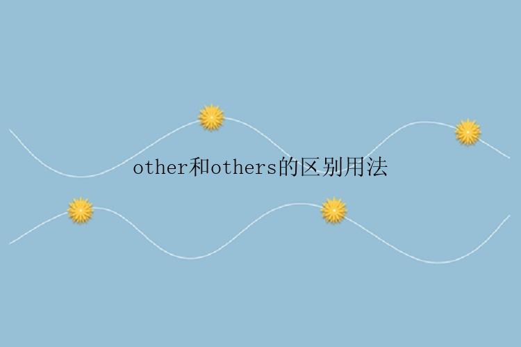 other和others的区别用法