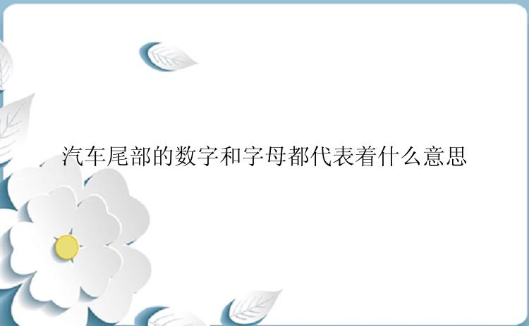 汽车尾部的数字和字母都代表着什么意思