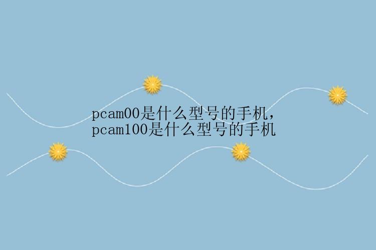 pcam00是什么型号的手机，pcam100是什么型号的手机