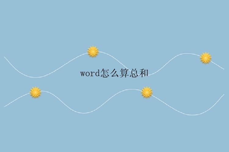 word怎么算总和