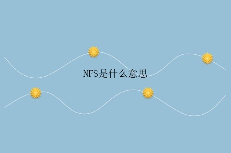 NFS是什么意思