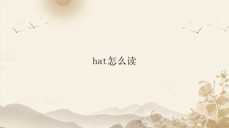 hat怎么读