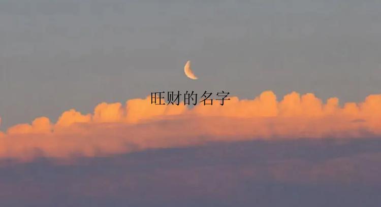 旺财的名字