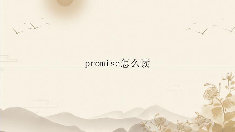 promise怎么读