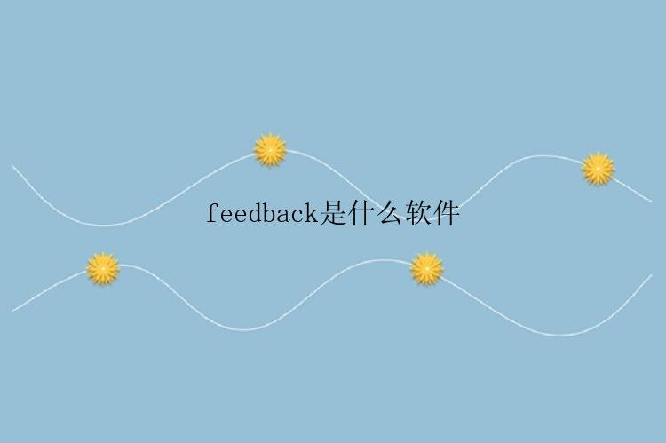 feedback是什么软件