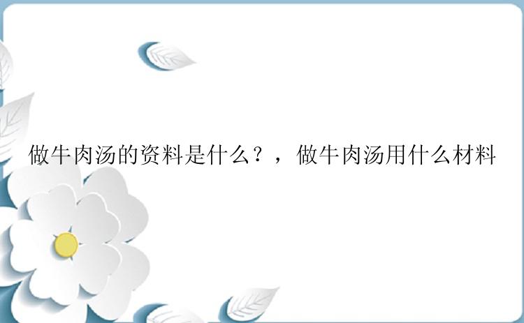 做牛肉汤的资料是什么？，做牛肉汤用什么材料