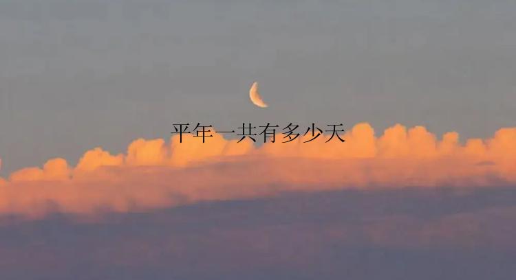 平年一共有多少天