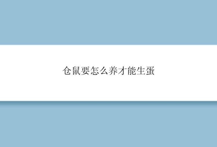 仓鼠要怎么养才能生蛋