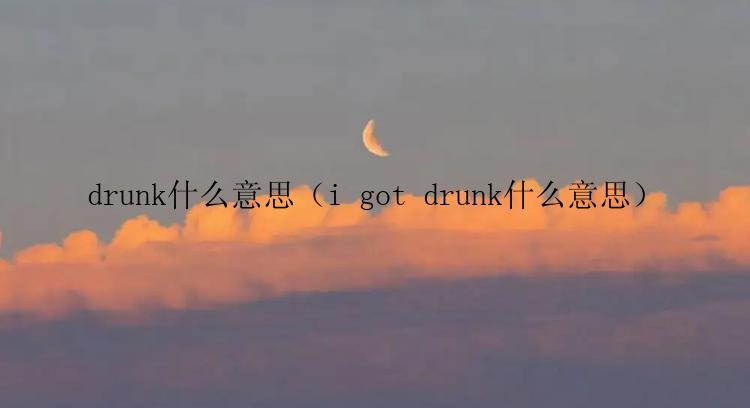 drunk什么意思（i got drunk什么意思）