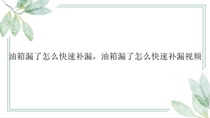 油箱漏了怎么快速补漏，油箱漏了怎么快速补漏视频