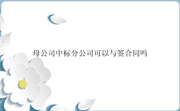 母公司中标分公司可以与签合同吗