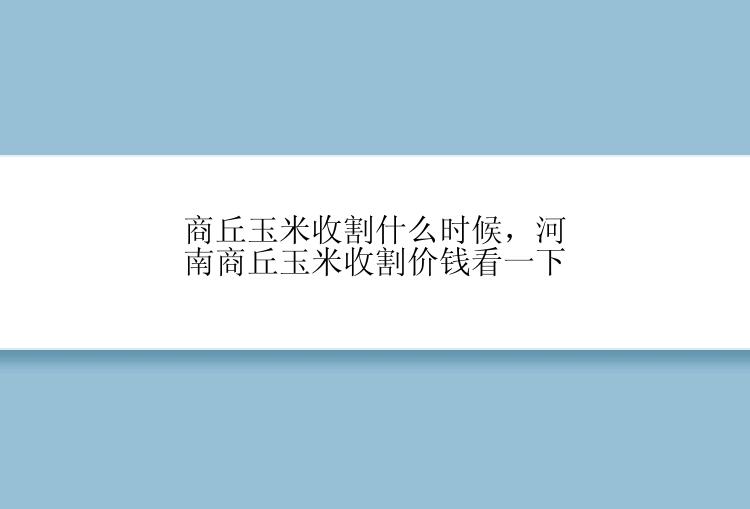 商丘玉米收割什么时候，河南商丘玉米收割价钱看一下