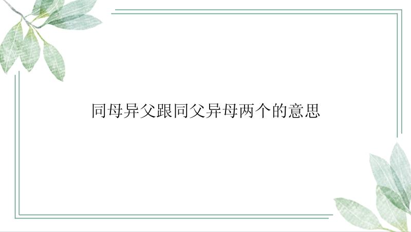 同母异父跟同父异母两个的意思