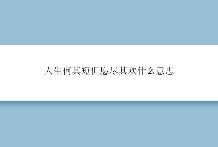 人生何其短但愿尽其欢什么意思