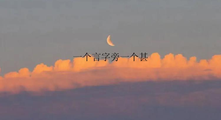 一个言字旁一个甚