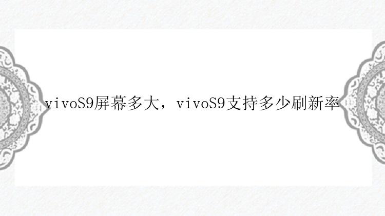 vivoS9屏幕多大，vivoS9支持多少刷新率