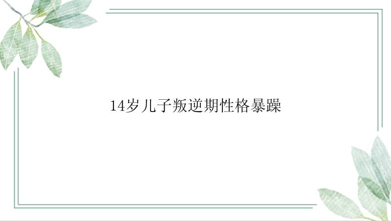 14岁儿子叛逆期性格暴躁