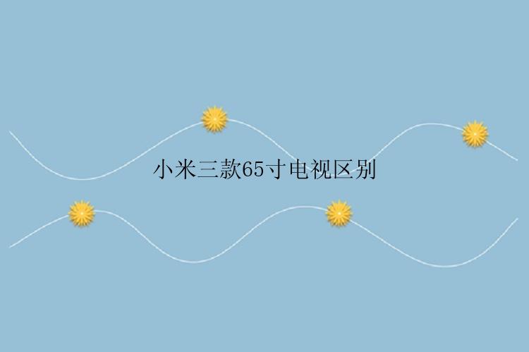 小米三款65寸电视区别