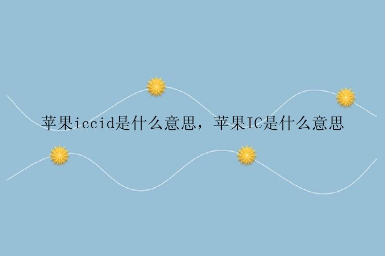 苹果iccid是什么意思，苹果IC是什么意思