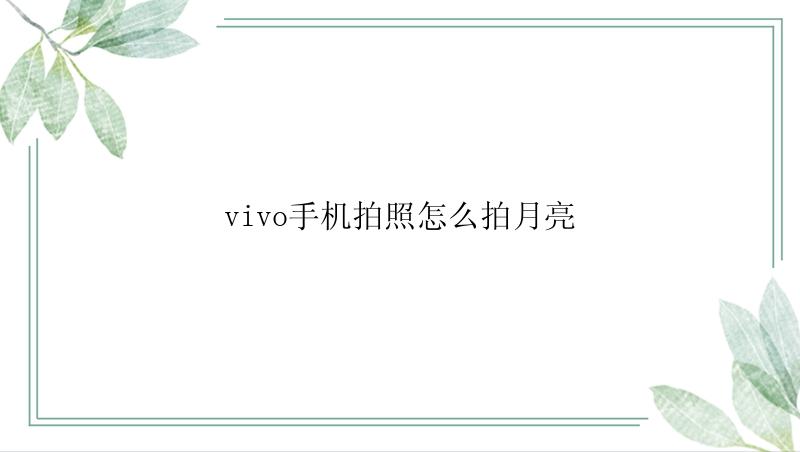 vivo手机拍照怎么拍月亮