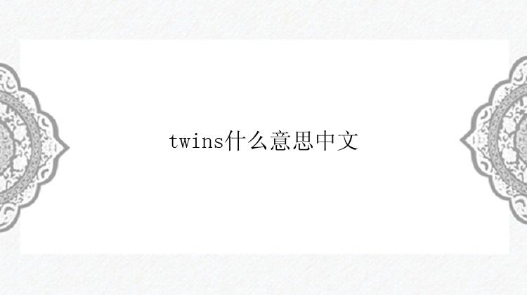 twins什么意思中文