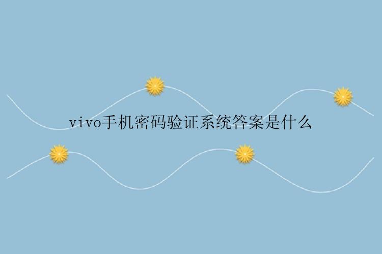 vivo手机密码验证系统答案是什么