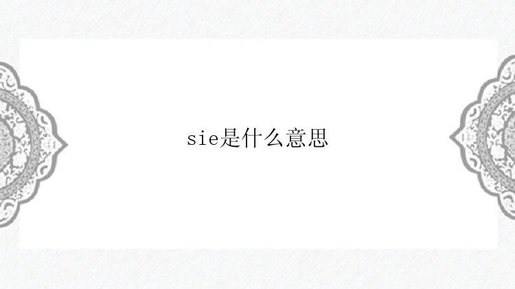 sie是什么意思