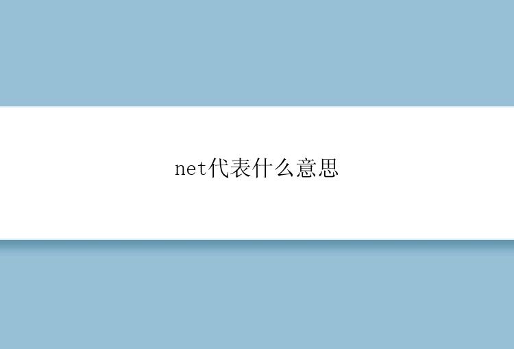 net代表什么意思