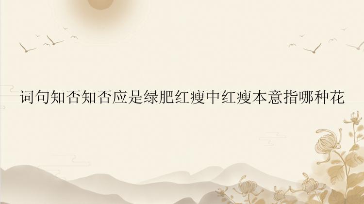 词句知否知否应是绿肥红瘦中红瘦本意指哪种花