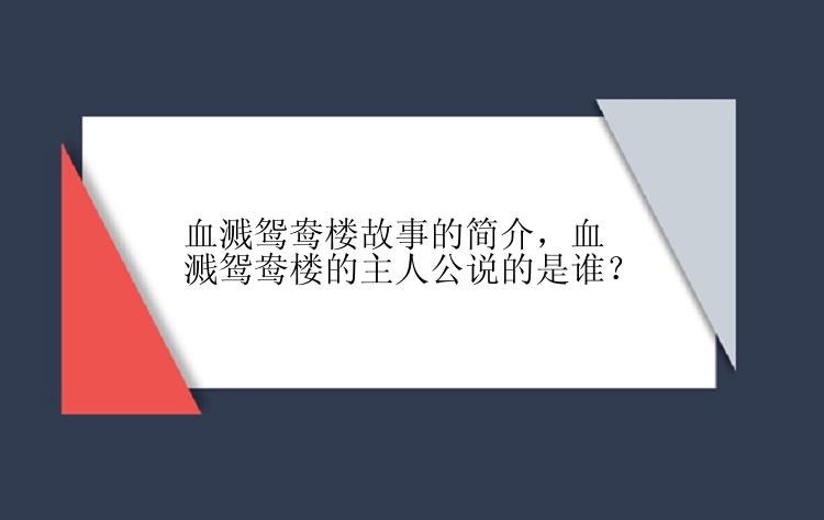 血溅鸳鸯楼故事的简介，血溅鸳鸯楼的主人公说的是谁？