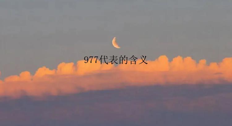 977代表的含义