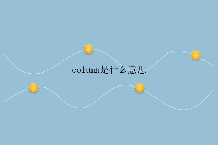 column是什么意思